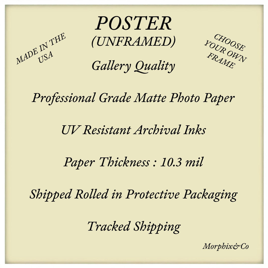 Christmas Cat Art : Holiday Fantasy Poster & Canvas