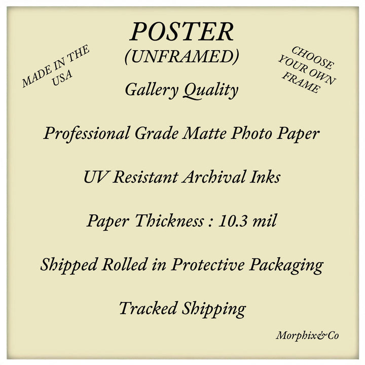 Christmas Cat Art : Holiday Fantasy Poster & Canvas